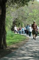 NAMIWalk07 (325) 